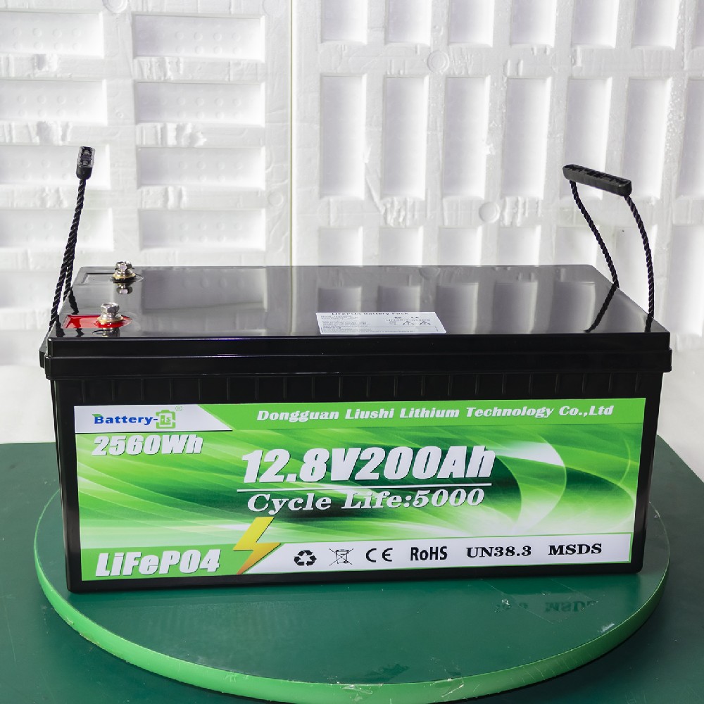 OEM ODM lifepo4 rack mounted battery 24v 100ah 48v 200ah solar lithium battery pack for RV Marine golf cart