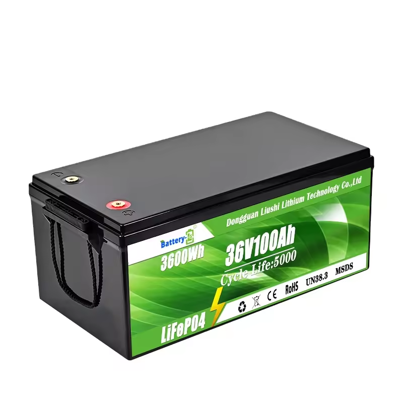 36V 100Ah High Quality Deep Cycle Life LiFePO4 Lithium Iron Phosphate Battery